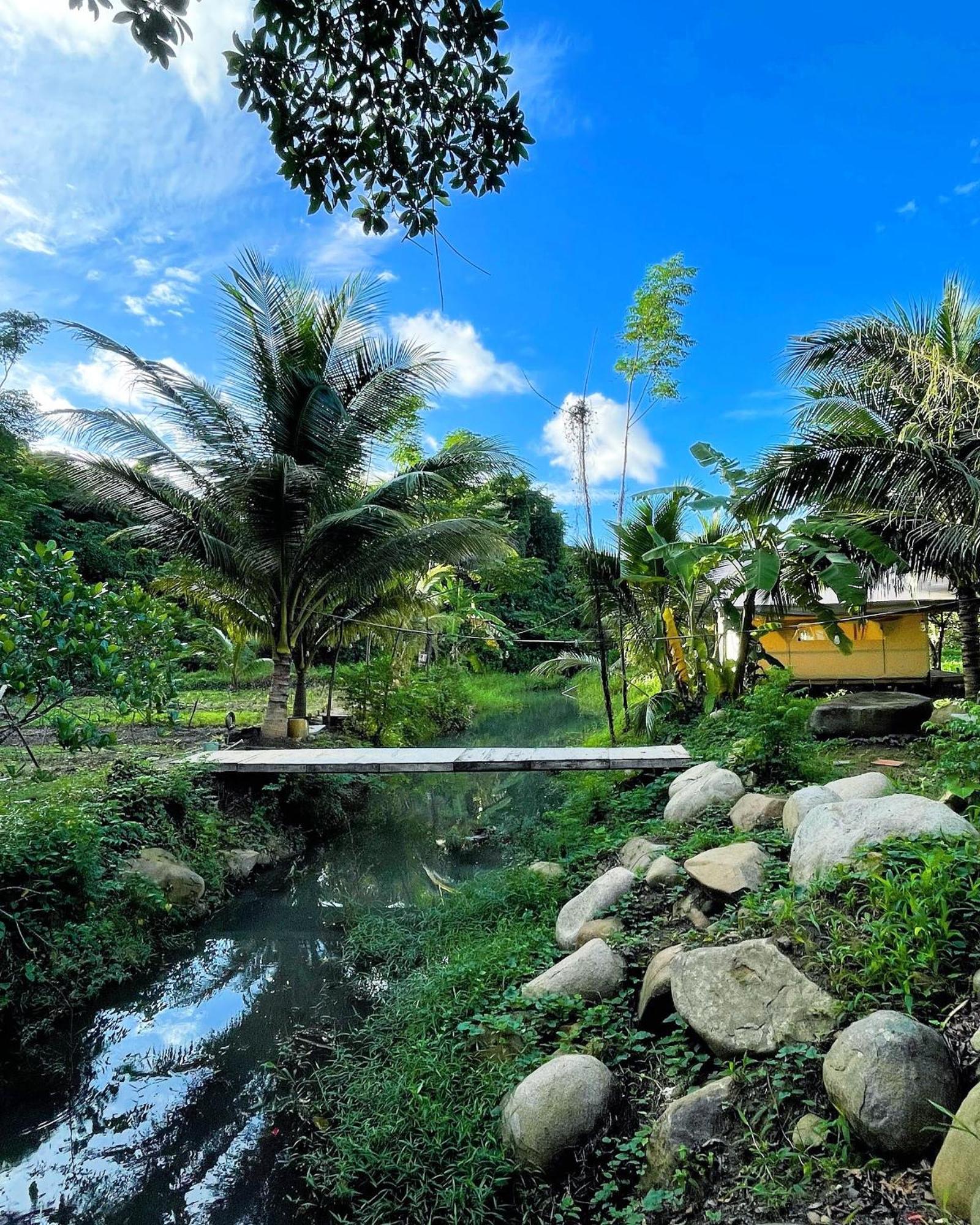 Con Dao Backpacker - Loco Camping Chi Khu Co Ong Kültér fotó