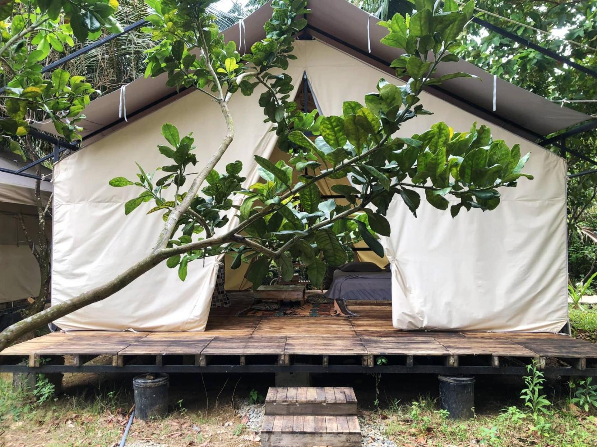 Con Dao Backpacker - Loco Camping Chi Khu Co Ong Kültér fotó