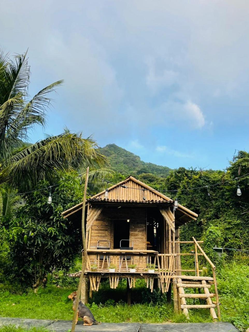 Con Dao Backpacker - Loco Camping Chi Khu Co Ong Kültér fotó